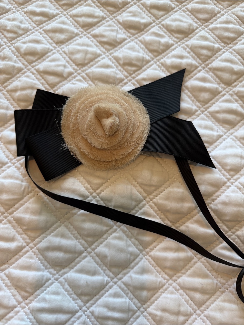 J. Crew Cream Rosette Belt with Black Ribbon